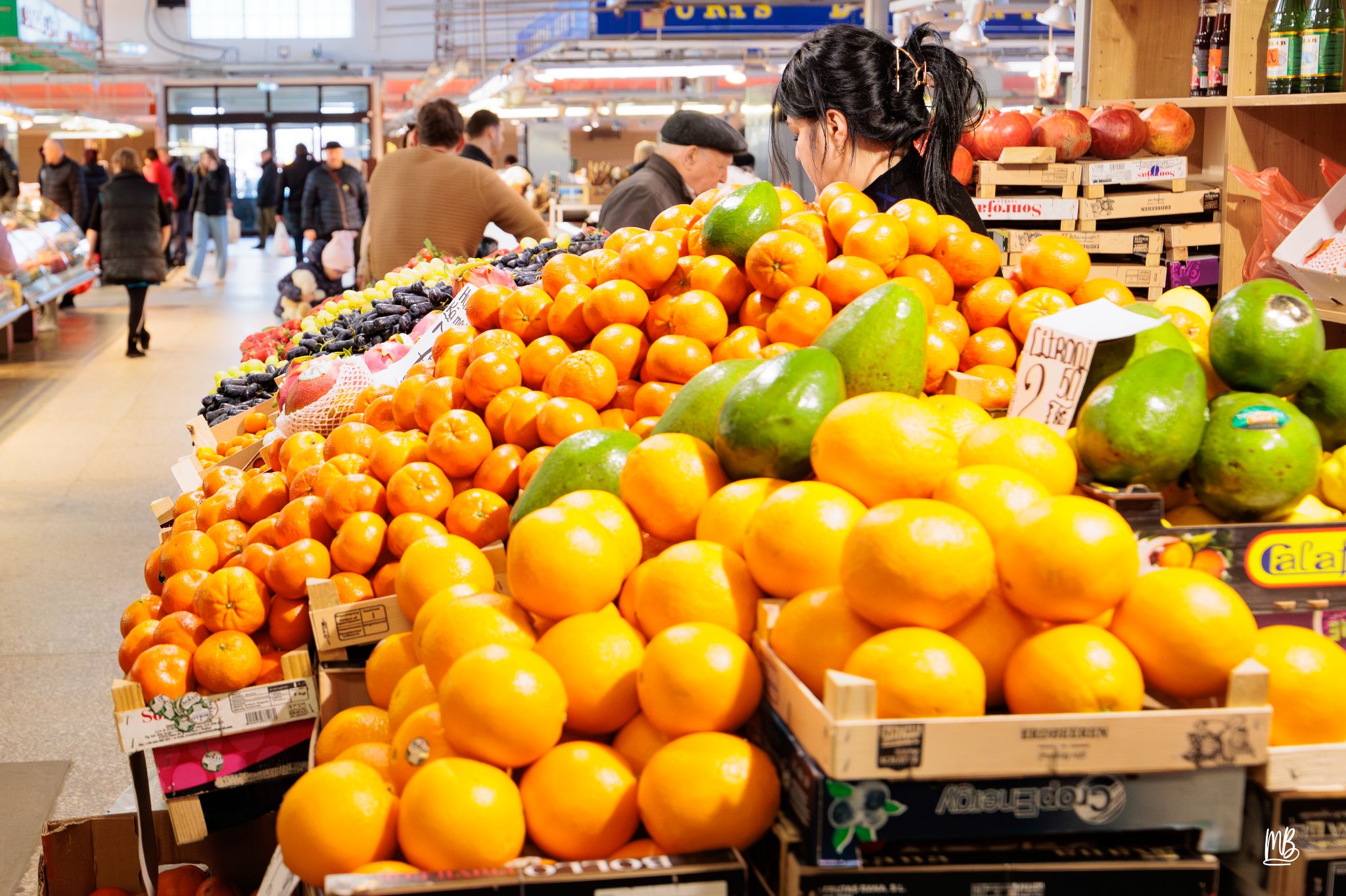 2024   Riga   MB 223